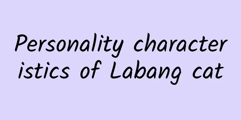 Personality characteristics of Labang cat