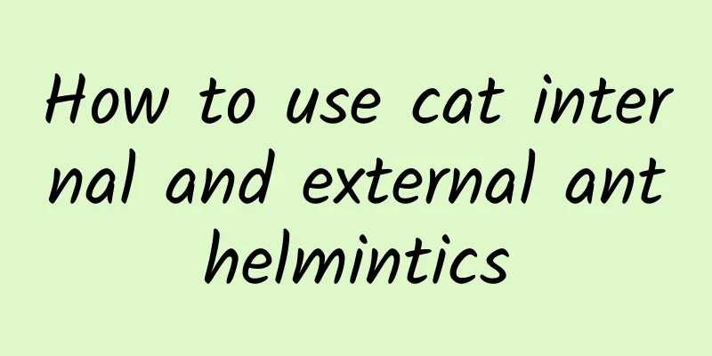 How to use cat internal and external anthelmintics