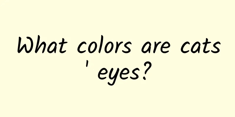 What colors are cats' eyes?