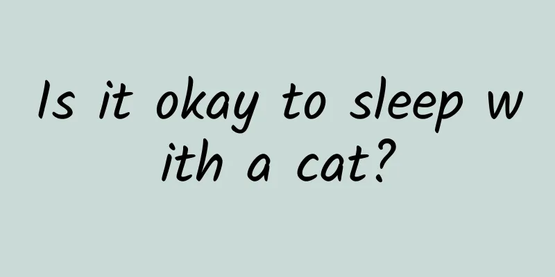 Is it okay to sleep with a cat?