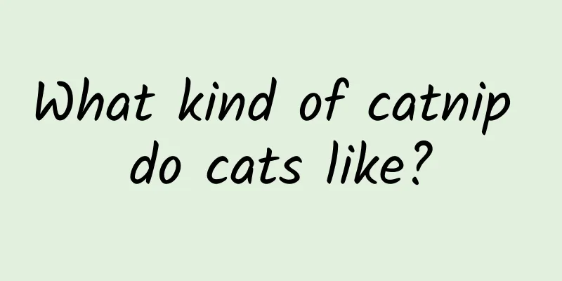 What kind of catnip do cats like?