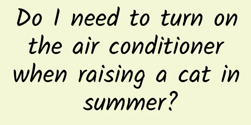 Do I need to turn on the air conditioner when raising a cat in summer?