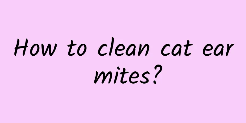 How to clean cat ear mites?