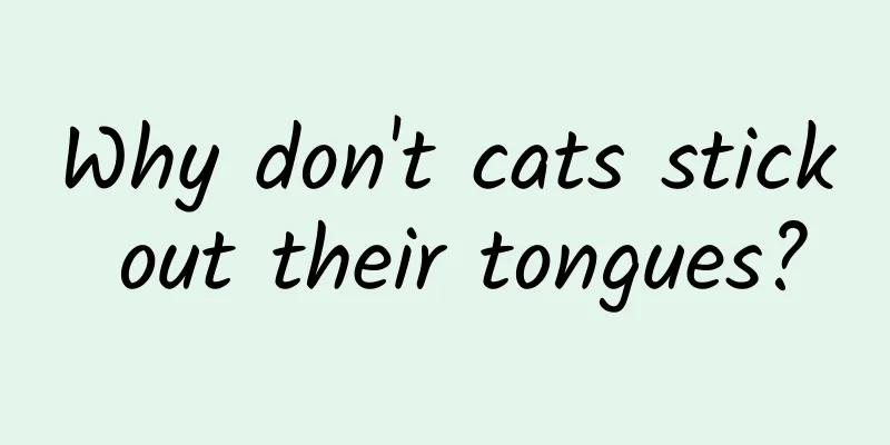 Why don't cats stick out their tongues?