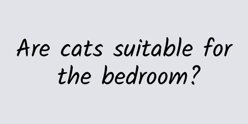 Are cats suitable for the bedroom?