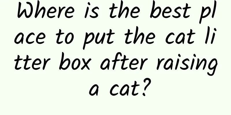 Where is the best place to put the cat litter box after raising a cat?