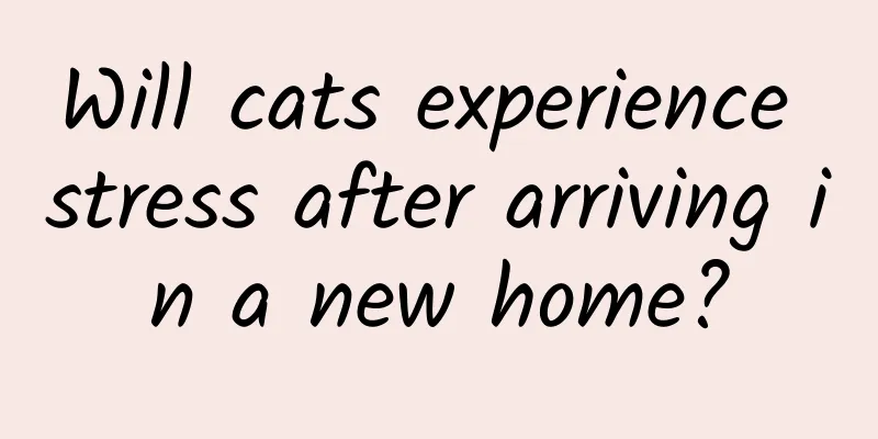 Will cats experience stress after arriving in a new home?