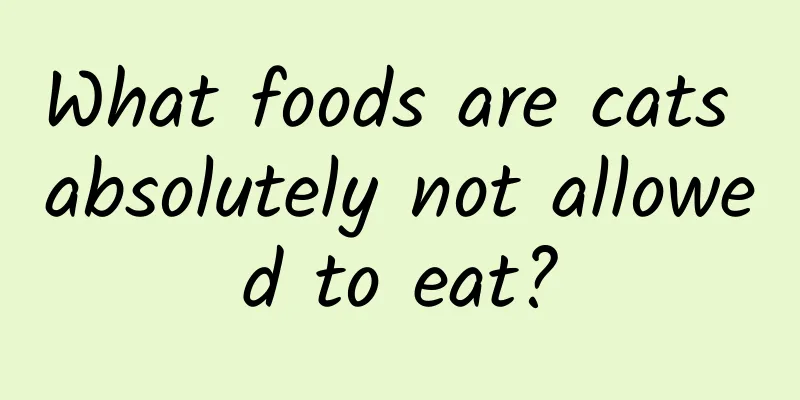 What foods are cats absolutely not allowed to eat?