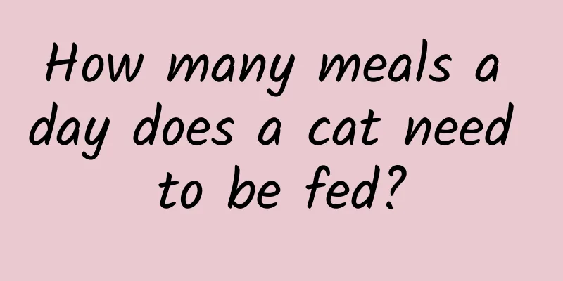 How many meals a day does a cat need to be fed?