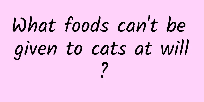 What foods can't be given to cats at will?
