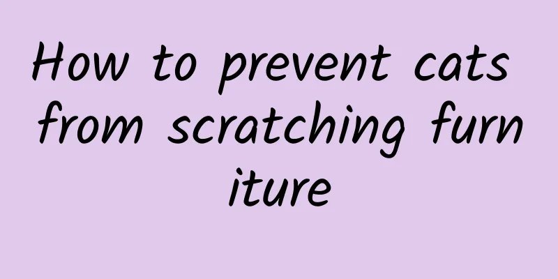 How to prevent cats from scratching furniture