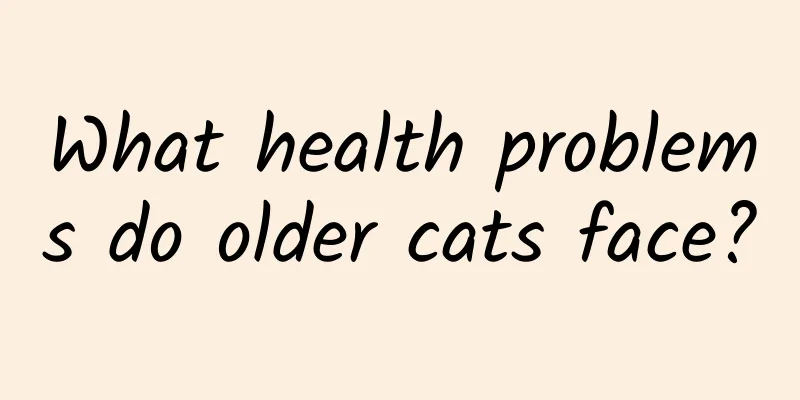 What health problems do older cats face?
