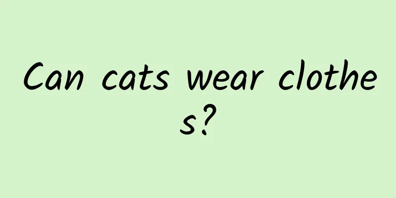 Can cats wear clothes?