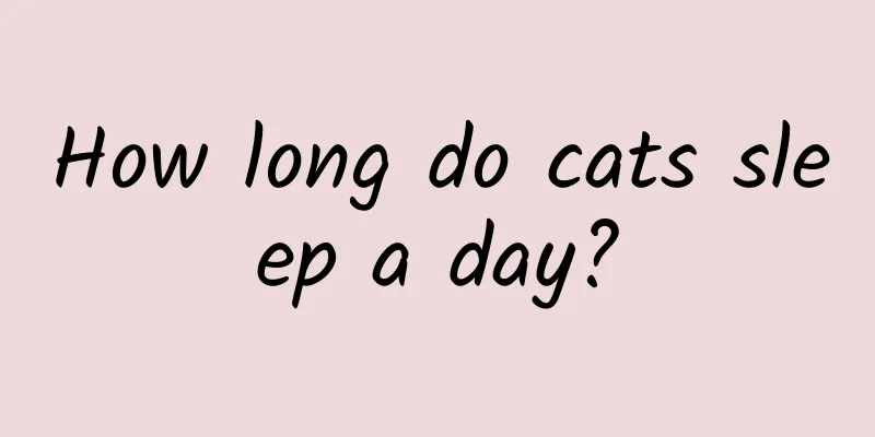 How long do cats sleep a day?