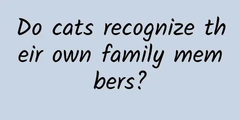Do cats recognize their own family members?