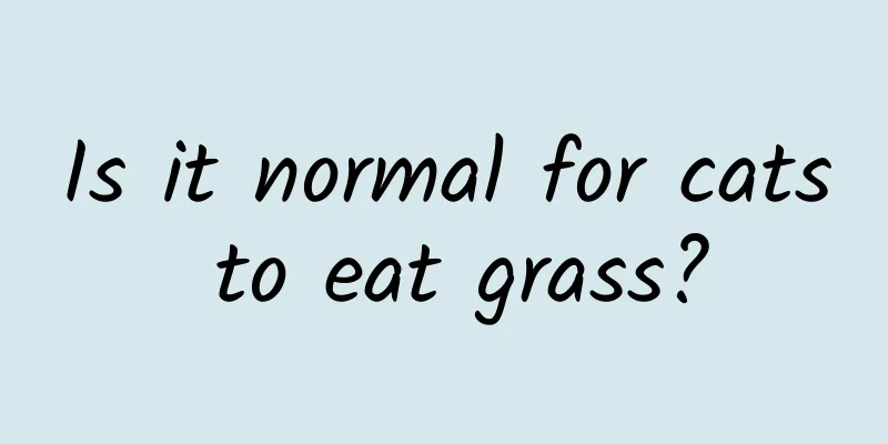 Is it normal for cats to eat grass?