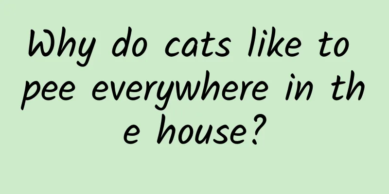 Why do cats like to pee everywhere in the house?