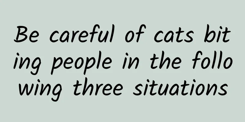 Be careful of cats biting people in the following three situations