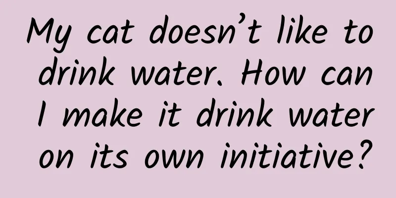 My cat doesn’t like to drink water. How can I make it drink water on its own initiative?
