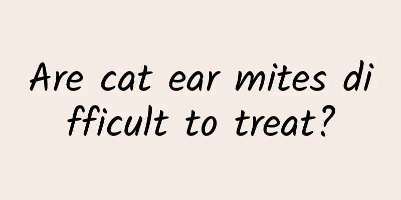 Are cat ear mites difficult to treat?