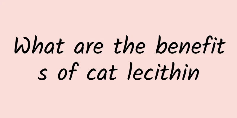 What are the benefits of cat lecithin