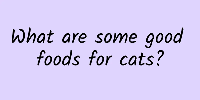 What are some good foods for cats?