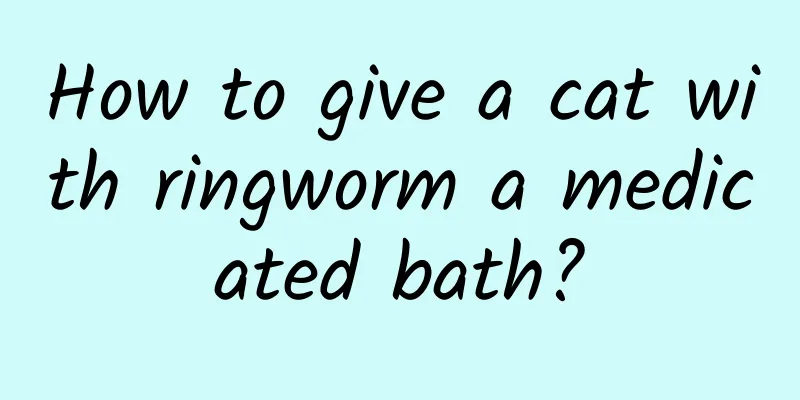How to give a cat with ringworm a medicated bath?