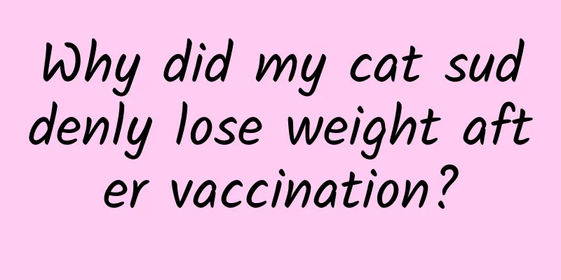 Why did my cat suddenly lose weight after vaccination?
