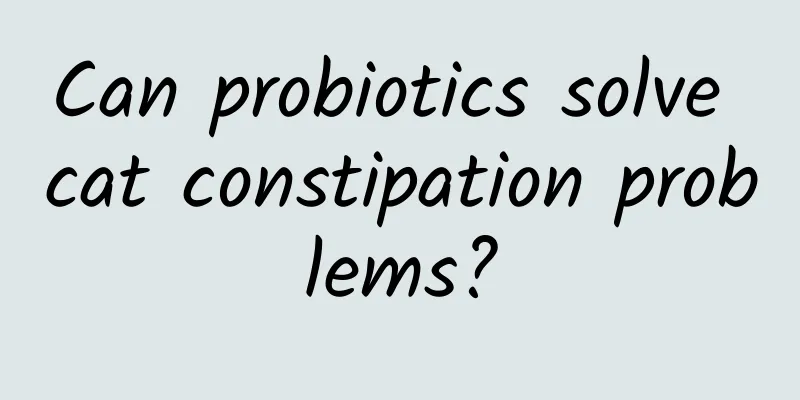 Can probiotics solve cat constipation problems?