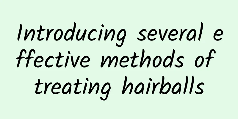 Introducing several effective methods of treating hairballs