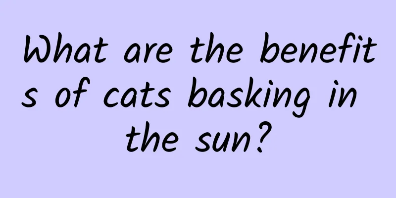 What are the benefits of cats basking in the sun?