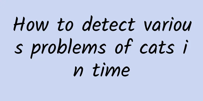 How to detect various problems of cats in time