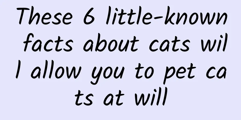 These 6 little-known facts about cats will allow you to pet cats at will