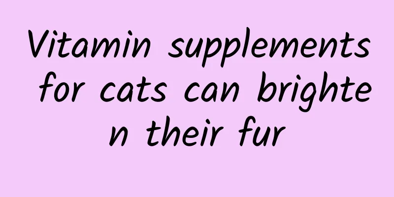 Vitamin supplements for cats can brighten their fur