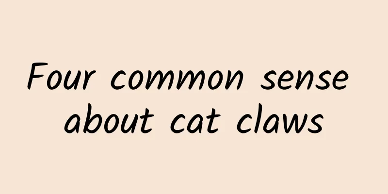 Four common sense about cat claws