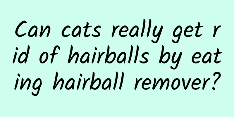 Can cats really get rid of hairballs by eating hairball remover?