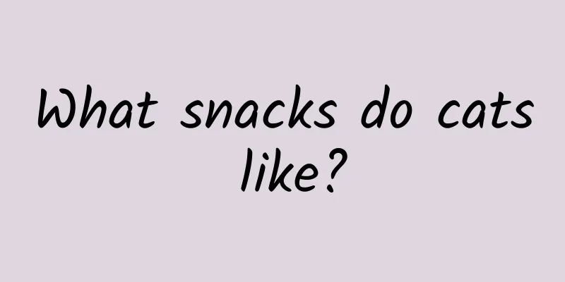 What snacks do cats like?