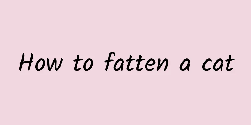 How to fatten a cat