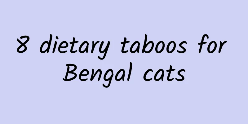 8 dietary taboos for Bengal cats