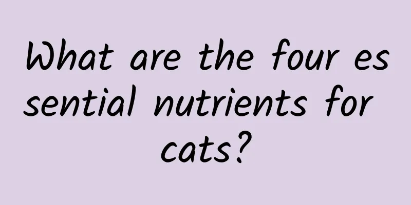 What are the four essential nutrients for cats?