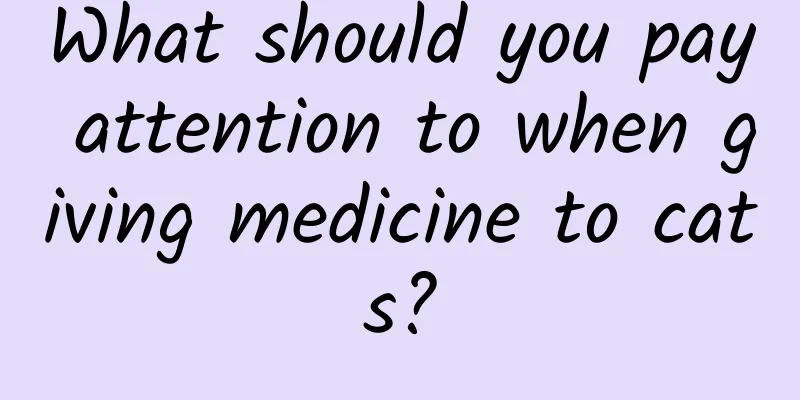 What should you pay attention to when giving medicine to cats?