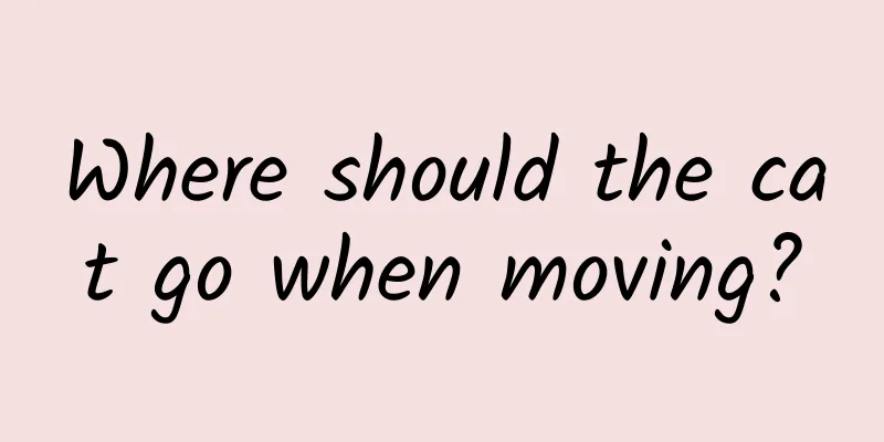 Where should the cat go when moving?