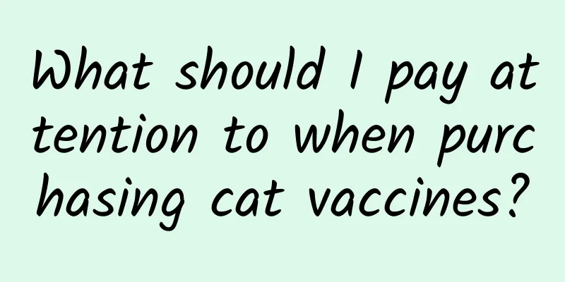 What should I pay attention to when purchasing cat vaccines?
