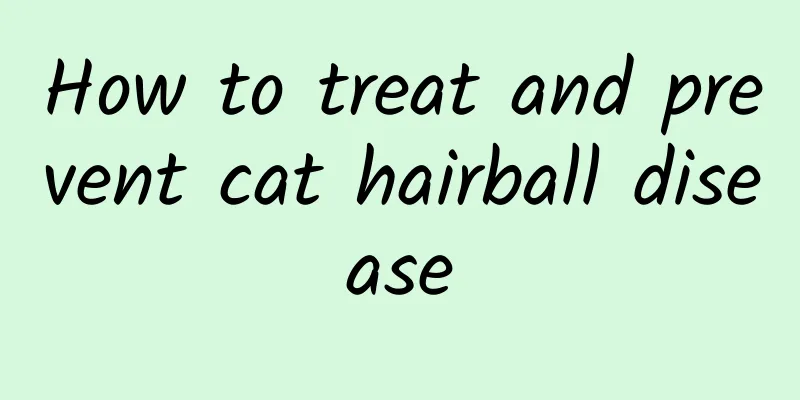 How to treat and prevent cat hairball disease
