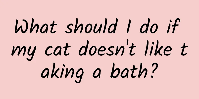 What should I do if my cat doesn't like taking a bath?