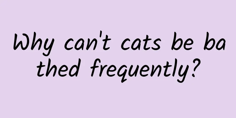 Why can't cats be bathed frequently?