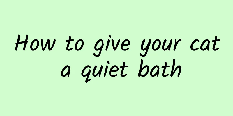 How to give your cat a quiet bath