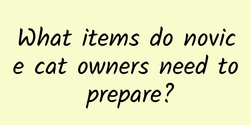 What items do novice cat owners need to prepare?