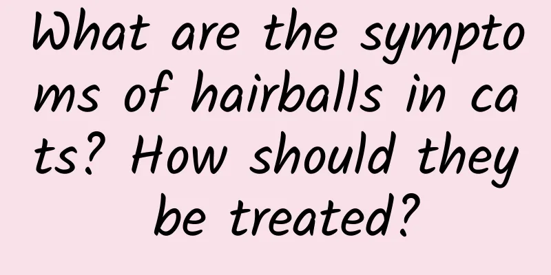 What are the symptoms of hairballs in cats? How should they be treated?