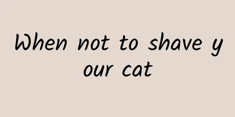 When not to shave your cat